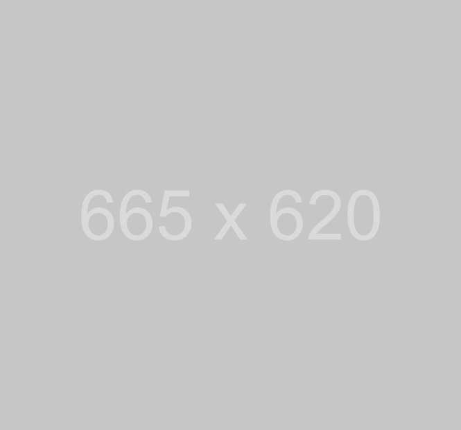 665x620